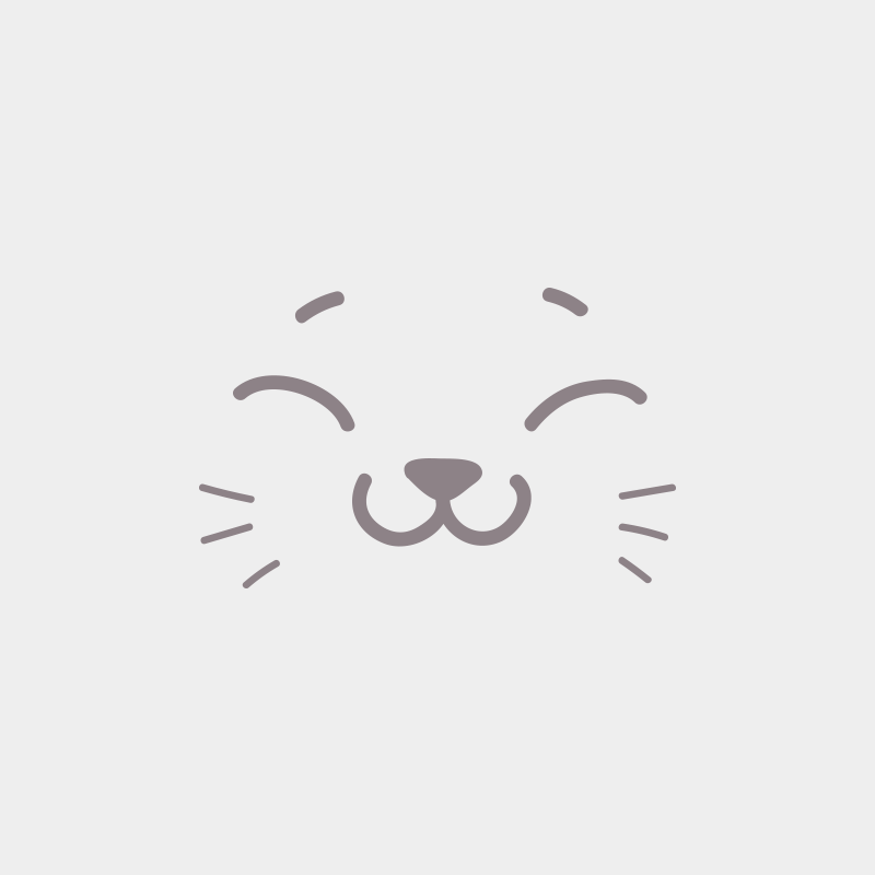 Bouledefrisouille Chaton2 Femelle Selkirk Rex Longhair